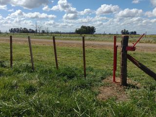 Foto 51 de Terreno en venta - 42.415Mts2 - San Miguel del Monte