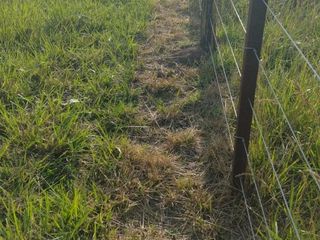 Foto 39 de Terreno en venta - 42.415Mts2 - San Miguel del Monte