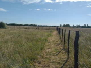 Foto 31 de Terreno en venta - 42.415Mts2 - San Miguel del Monte