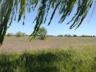 Foto 21 de Terreno en venta - 42.415Mts2 - San Miguel del Monte