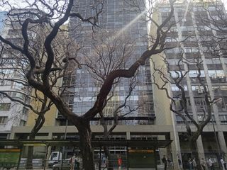 Foto 7 de Oficina en alquiler en Plaza Roma