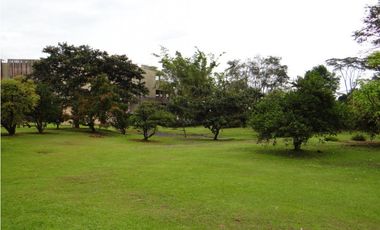 similar_image