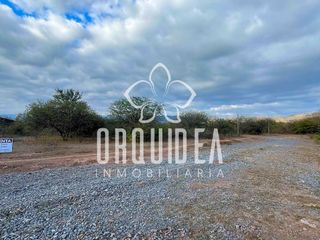 Foto 3 de Terreno / Lote en venta de 2500m2 ubicado en Coronel Moldes