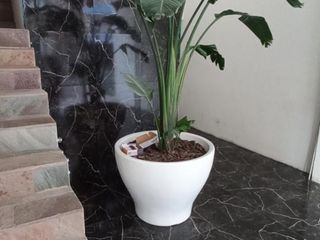 Foto 12 de Alquiler a Estrenar 2 Amb. Dorm. en Suite. Lanusita. Sum, Piscina, Solarium. LANUS O.