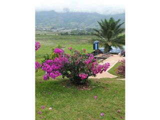 Foto 18 de finca de recreo en venta en el lago calima