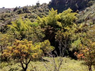 Foto 12 de (I) LOTE PARA LA VENTA EN MARINILLA ANTIOQUIA