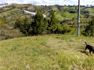 Foto 8 de (I) LOTE PARA LA VENTA EN MARINILLA ANTIOQUIA