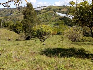 Foto 2 de (I) LOTE PARA LA VENTA EN MARINILLA ANTIOQUIA