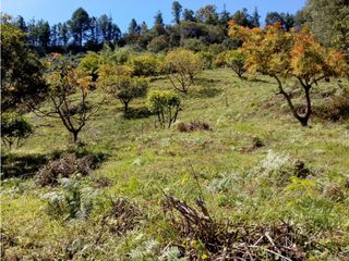 Foto 6 de (I) LOTE PARA LA VENTA EN MARINILLA ANTIOQUIA