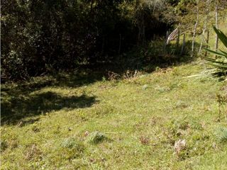 Foto 10 de (I) LOTE PARA LA VENTA EN MARINILLA ANTIOQUIA