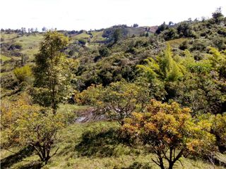 Foto 9 de (I) LOTE PARA LA VENTA EN MARINILLA ANTIOQUIA