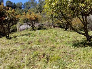 Foto 7 de (I) LOTE PARA LA VENTA EN MARINILLA ANTIOQUIA