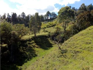 Foto 1 de (I) LOTE PARA LA VENTA EN MARINILLA ANTIOQUIA