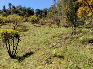 Foto 4 de (I) LOTE PARA LA VENTA EN MARINILLA ANTIOQUIA