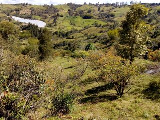 Foto 13 de (I) LOTE PARA LA VENTA EN MARINILLA ANTIOQUIA
