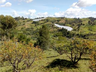 Foto 11 de (I) LOTE PARA LA VENTA EN MARINILLA ANTIOQUIA