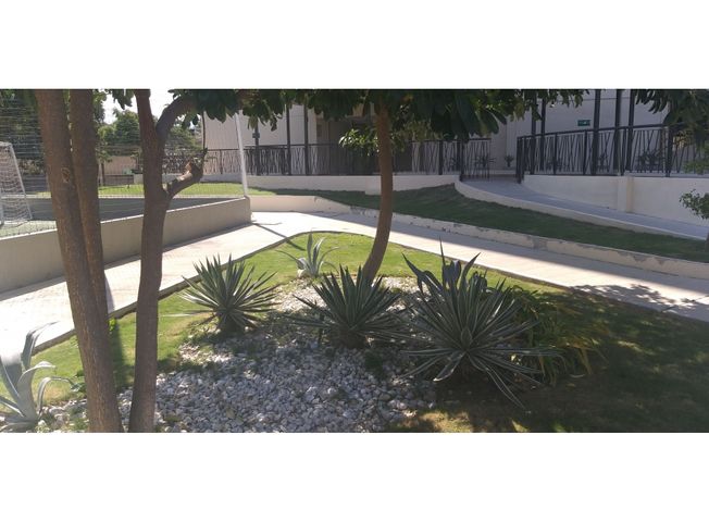 place photo 43