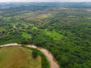 Foto 12 de Venta de Terreno de 430 Has Balzar Bosque de Teca SanS