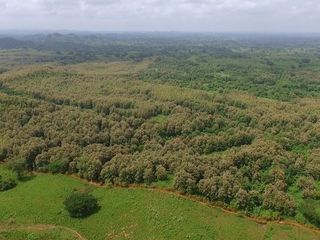 Foto 13 de Venta de Terreno de 430 Has Balzar Bosque de Teca SanS