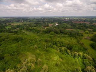 Foto 10 de Venta de Terreno de 430 Has Balzar Bosque de Teca SanS