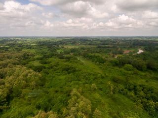 Foto 9 de Venta de Terreno de 430 Has Balzar Bosque de Teca SanS