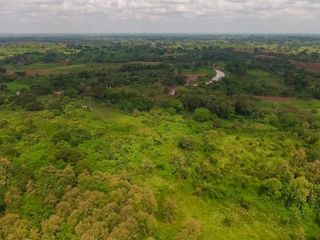 Foto 16 de Venta de Terreno de 430 Has Balzar Bosque de Teca SanS