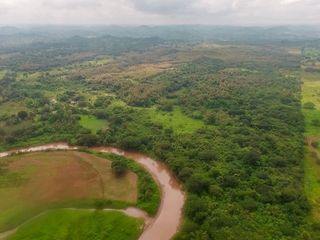 Foto 6 de Venta de Terreno de 430 Has Balzar Bosque de Teca SanS