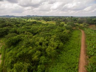 Foto 11 de Venta de Terreno de 430 Has Balzar Bosque de Teca SanS