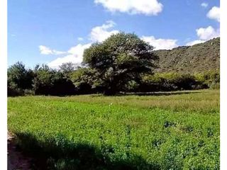 Foto 1 de VENTA 78 HECTAREAS SAN LUIS AGRICULTURA ECOLOGICA TURISMO ORGANICO