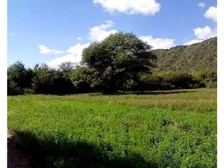 Foto 10 de VENTA 78 HECTAREAS SAN LUIS AGRICULTURA ECOLOGICA TURISMO ORGANICO