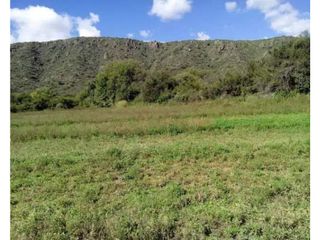 Foto 2 de VENTA 78 HECTAREAS SAN LUIS AGRICULTURA ECOLOGICA TURISMO ORGANICO