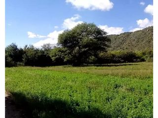 Foto 5 de VENTA 78 HECTAREAS SAN LUIS AGRICULTURA ECOLOGICA TURISMO ORGANICO