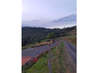 Foto 25 de SE VENDE PARCELA EN SAN GIL SANTANDER