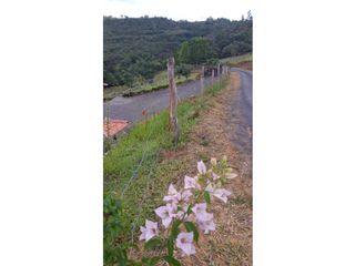 Foto 26 de SE VENDE PARCELA EN SAN GIL SANTANDER