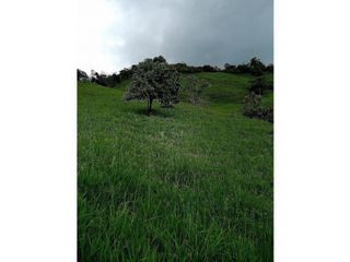 Foto 3 de VENDO FINCA EN PACHO-CUNDINAMARCA