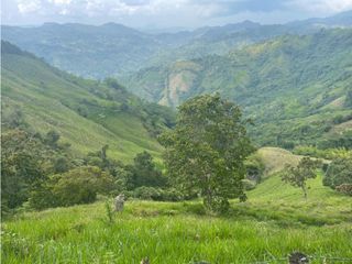 Foto 4 de VENDO FINCA EN PACHO-CUNDINAMARCA