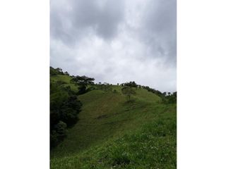 Foto 6 de VENDO FINCA EN PACHO-CUNDINAMARCA
