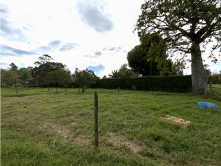 Foto 4 de Finca Parcelacion Llanogrande Sector La Amalita
