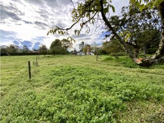 Foto 41 de Finca Parcelacion Llanogrande Sector La Amalita