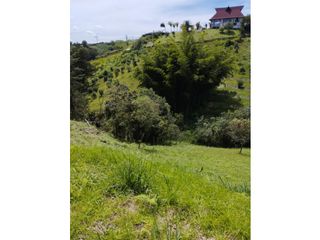 Foto 13 de vendo lote Marinilla, sector cimarronas 4.633m2.