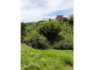 Foto 12 de vendo lote Marinilla, sector cimarronas 4.633m2.