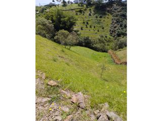 Foto 5 de vendo lote Marinilla, sector cimarronas 4.633m2.