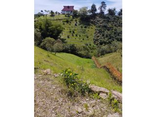 Foto 10 de vendo lote Marinilla, sector cimarronas 4.633m2.