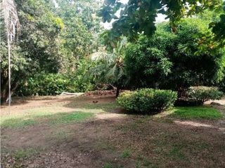 Foto 21 de Finca en venta en San Antero Vereda Cabeceras
