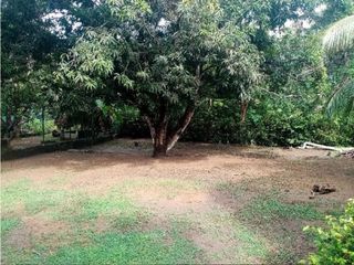 Foto 20 de Finca en venta en San Antero Vereda Cabeceras