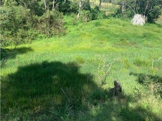 Foto 6 de Venta Lote en Parcela Marinilla