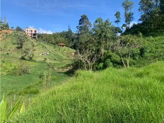 Foto 7 de Venta Lote en Parcela Marinilla