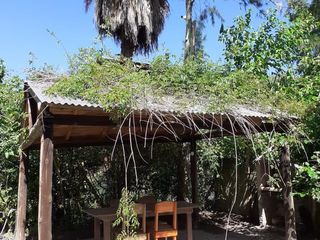 Foto 4 de Dique Luján | Alquiler temporario | Lindas cabañas con jardín y pileta para 4 o 5 personas
