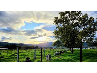 Foto 11 de VENTA DE CASA FINCA  EN GUASCA CUNDINAMARCA