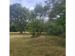 Foto 4 de Lote para la venta en el sector del club wembley- pance, Cali!!
